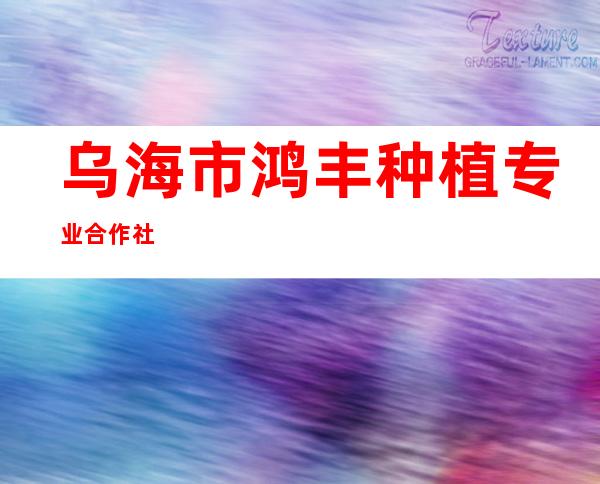 乌海市鸿丰种植专业合作社